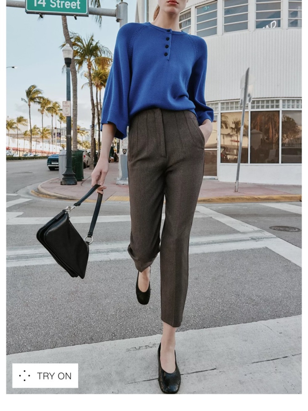 Zara High-Waisted pants